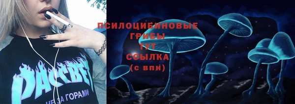 первитин Алексеевка