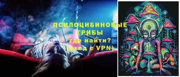 ГАЛЛЮЦИНОГЕННЫЕ ГРИБЫ Абаза