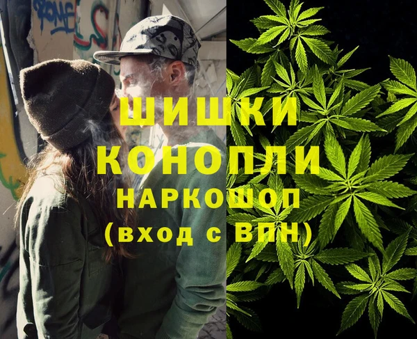 ГАЛЛЮЦИНОГЕННЫЕ ГРИБЫ Абаза