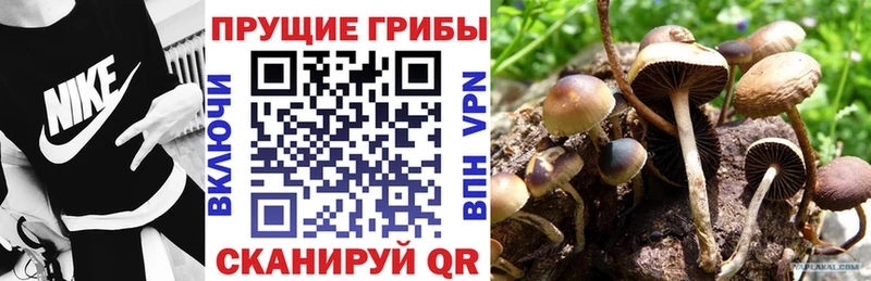 Галлюциногенные грибы мухоморы Усолье-Сибирское